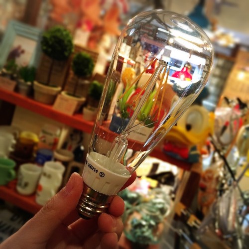 広島 LED エジソン電球 雑貨２