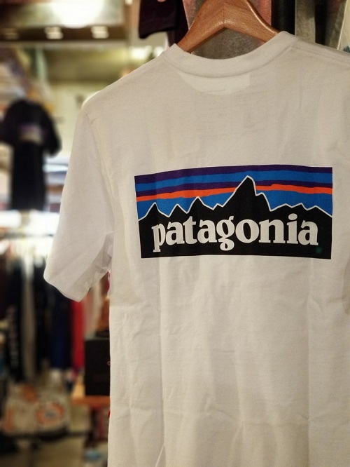 PATAGONIA パタゴニアのロゴTシャツ、極少量ですが再入荷！！