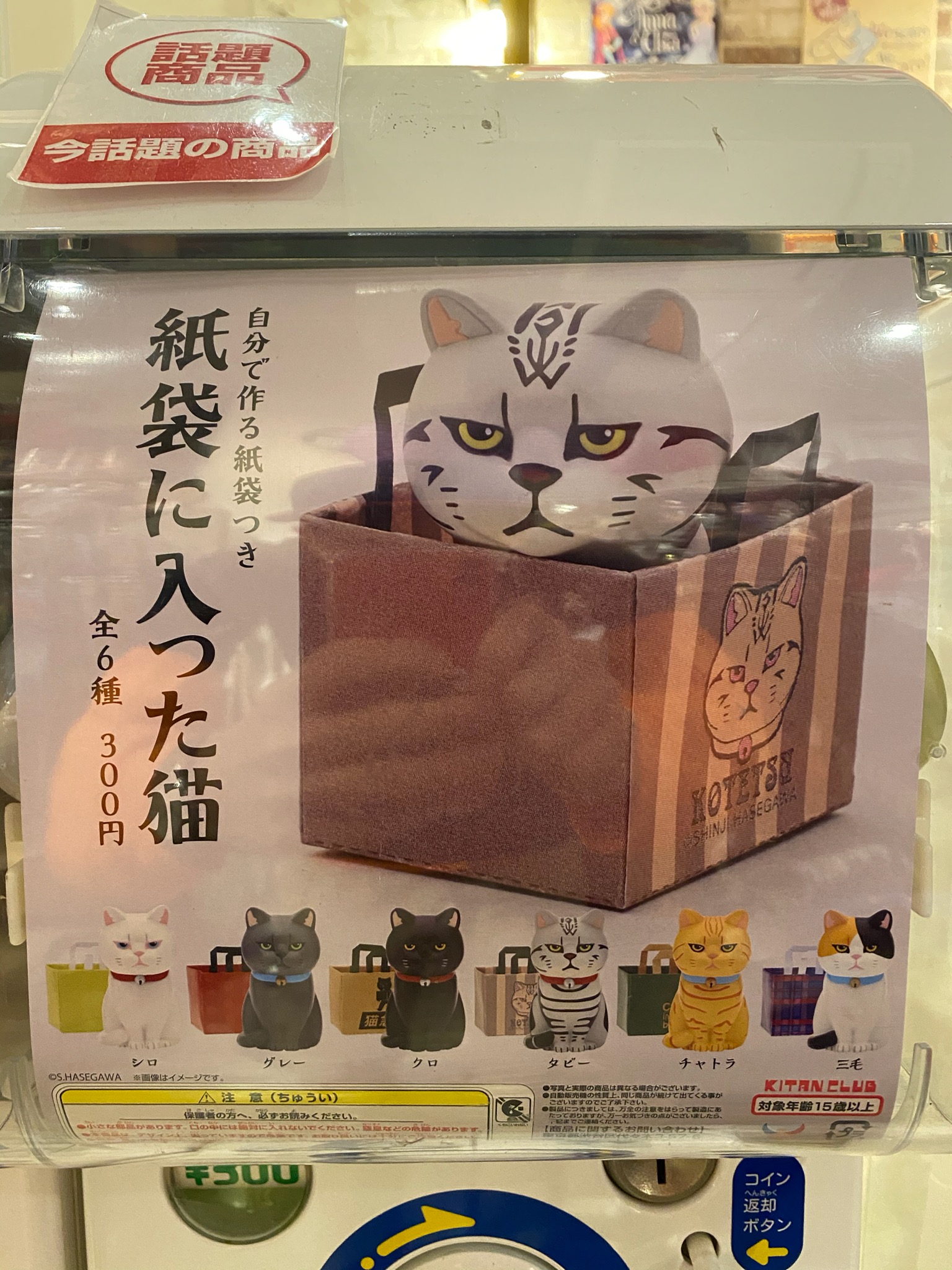 ガチャガチャの森　広島本通り　紙袋に入った猫